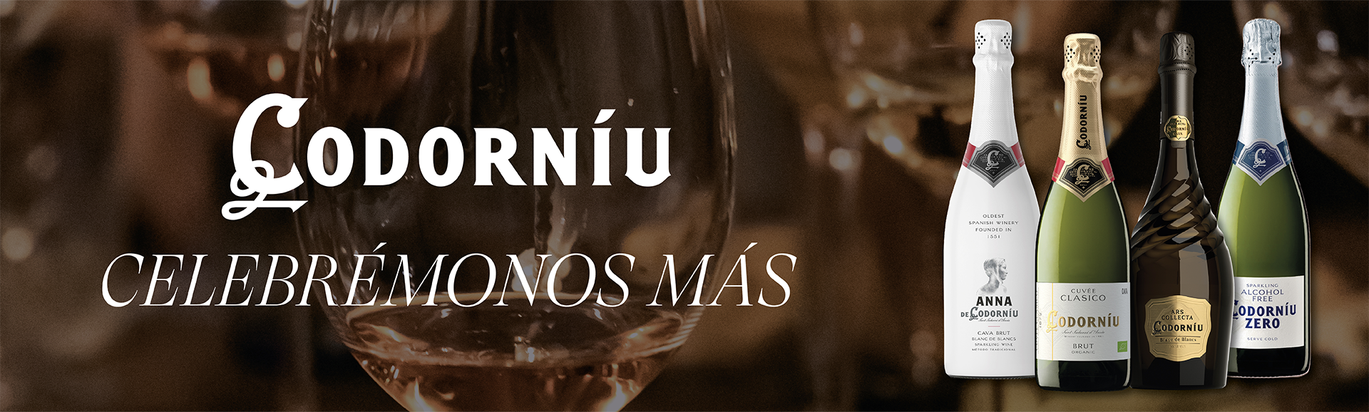 Banner Principal 5
